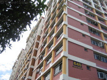 Blk 645 Jalan Tenaga (Bedok), HDB 5 Rooms #176462